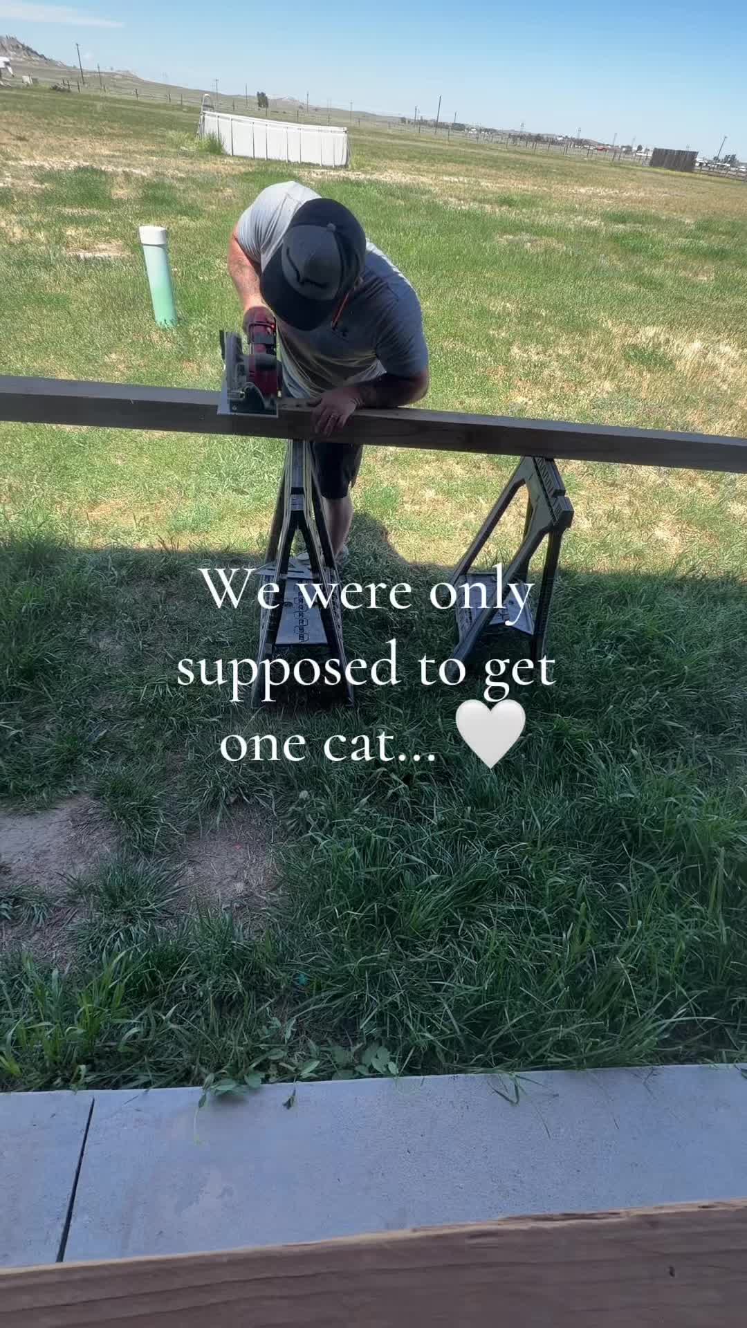 @🌻†HealthyHearted𝓂♡𝓂𝓂𝒶†🌻