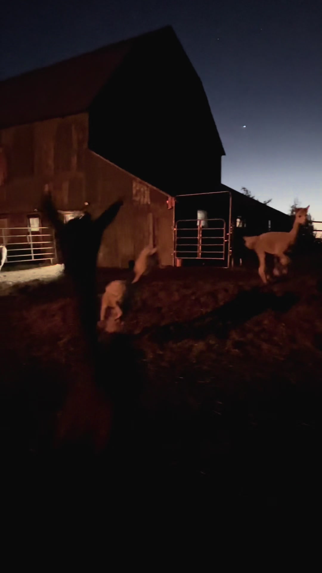 @Useless Farm