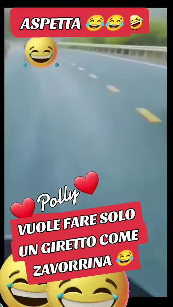 @♥️ POLLY ♥️