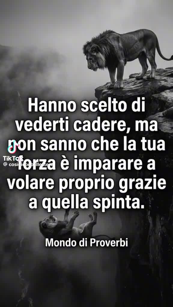 @nino Fichera