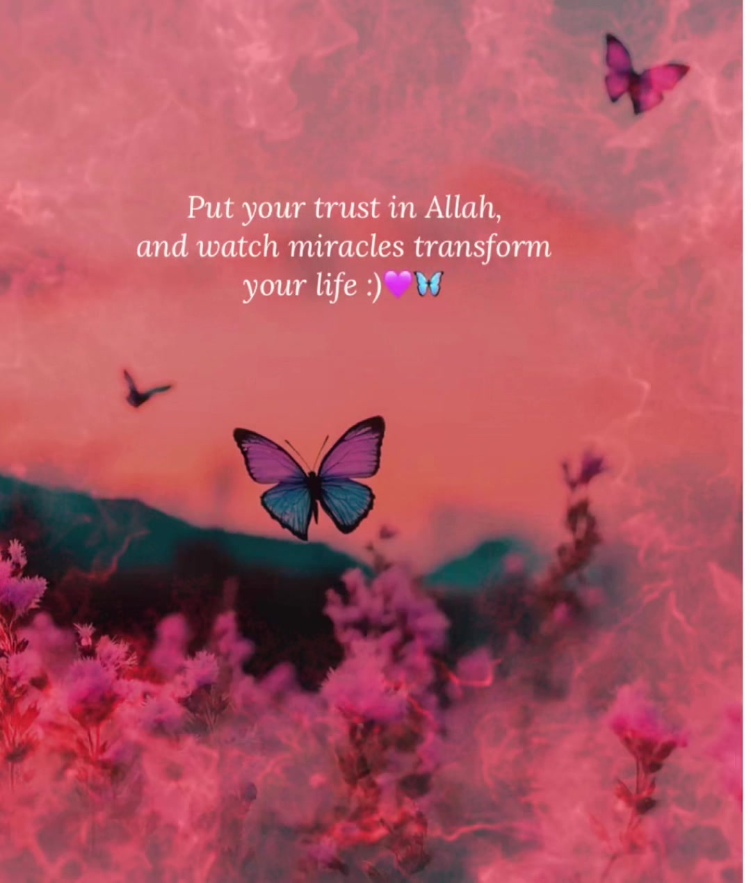 @Mahenoor_786