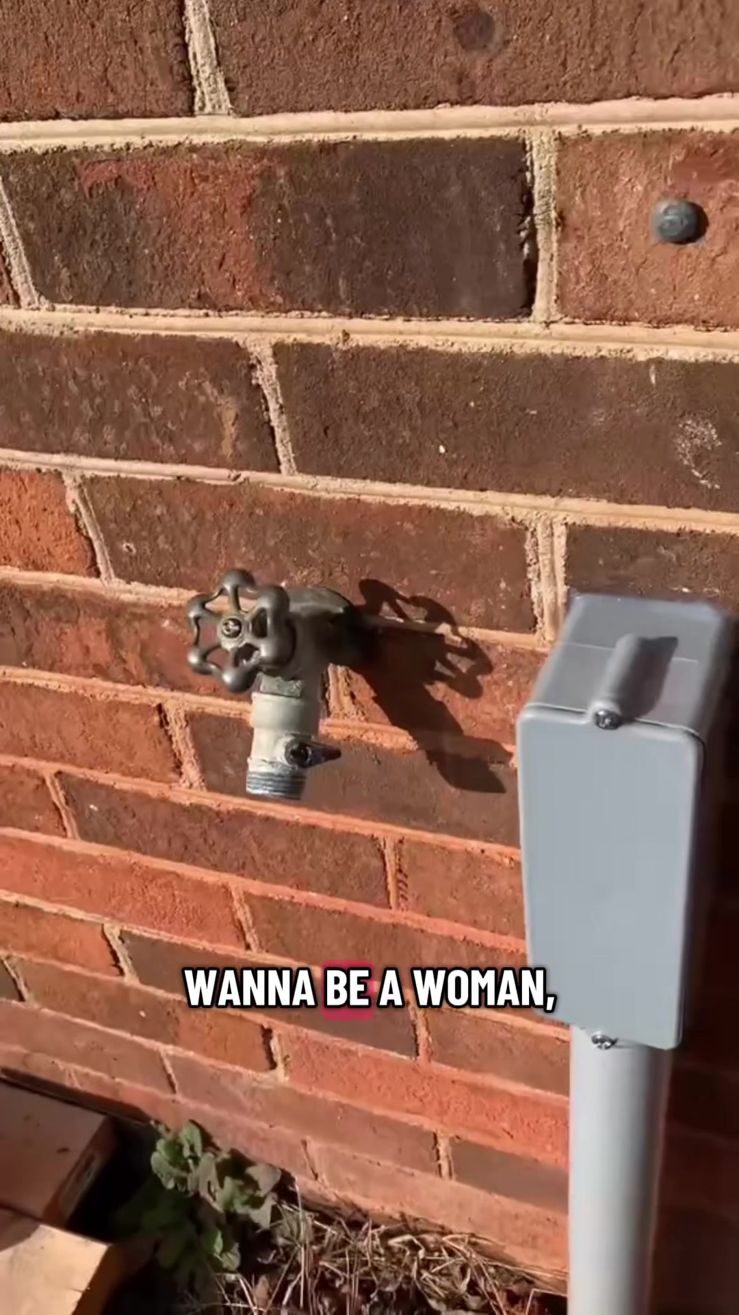 @PlumbBob