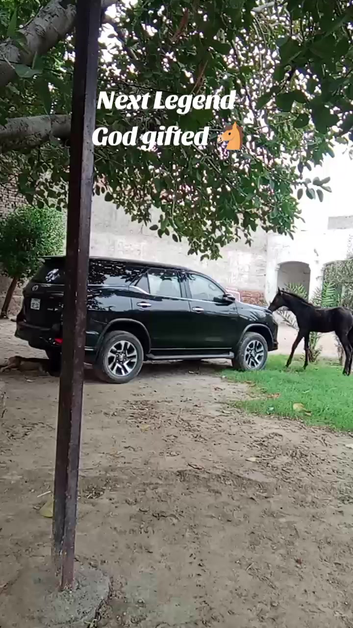 @احمد گل نمبر دار