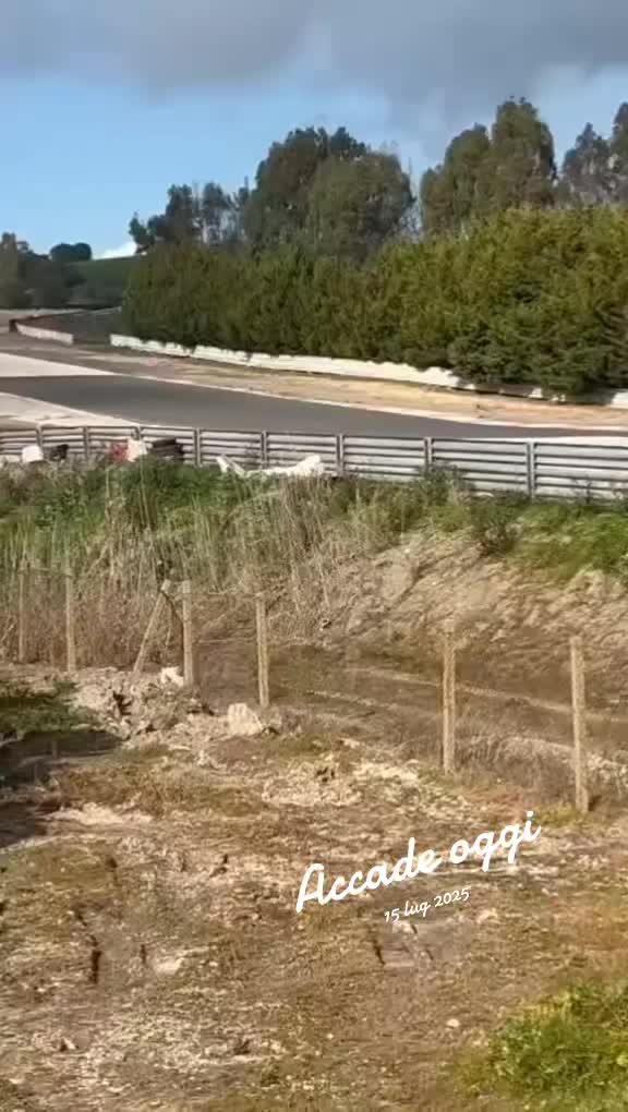 @giuseppemarzullo81