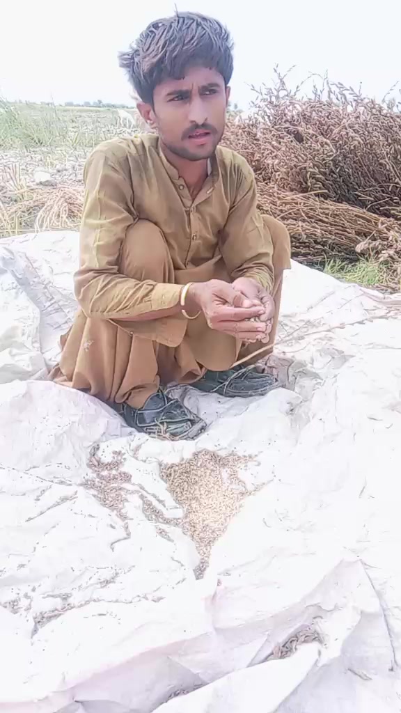 @Ali dost