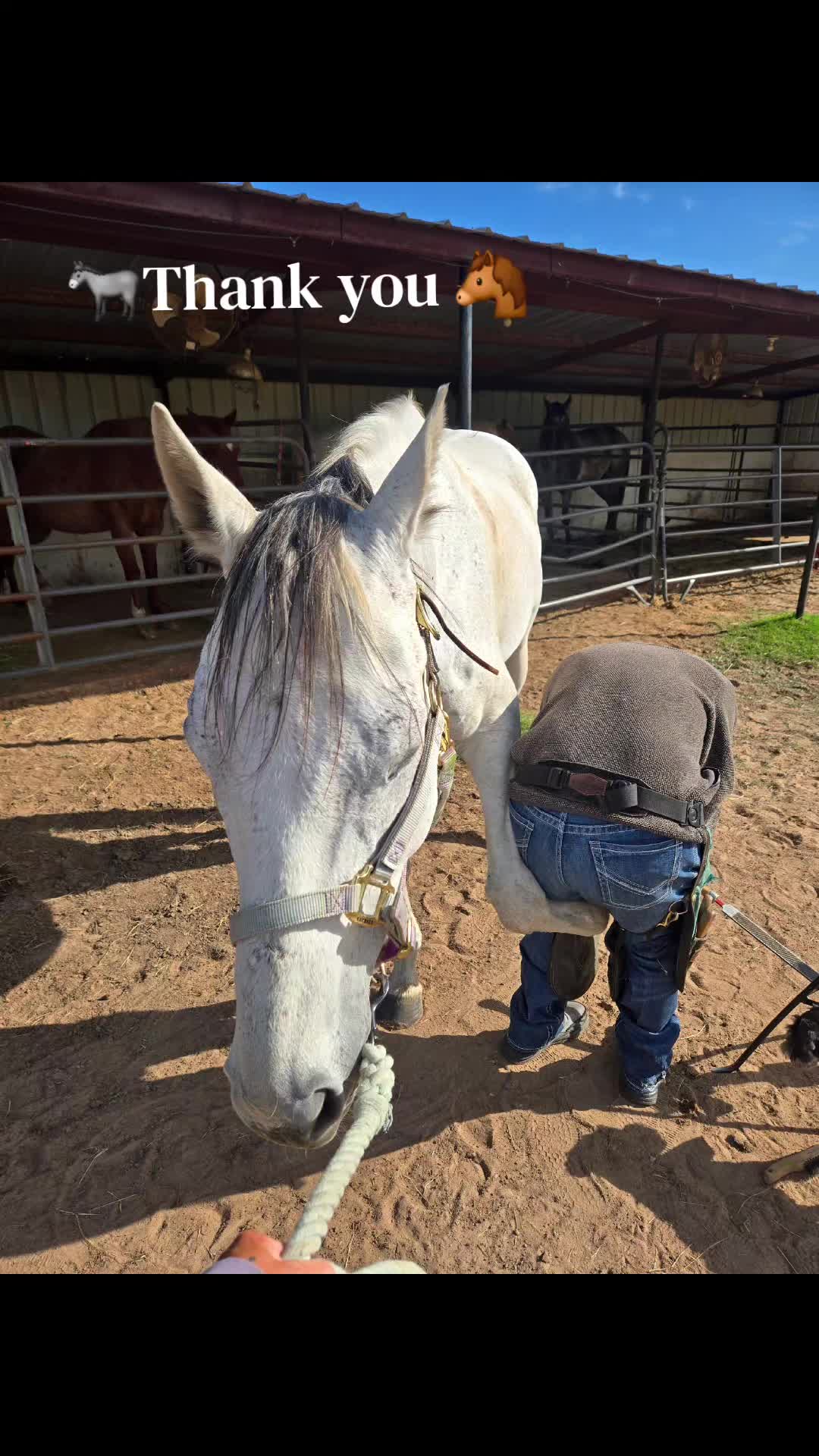 @Fonzy's Farm Rehab & Sanctuary