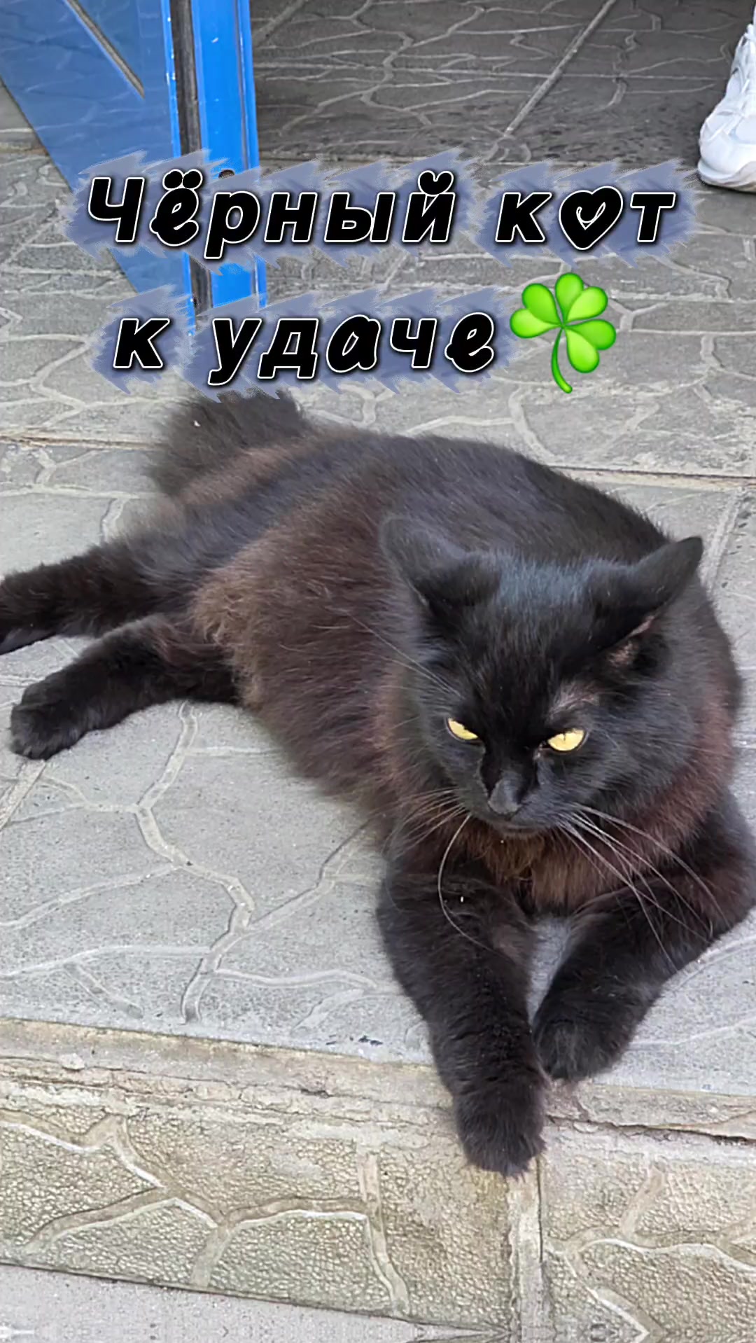 @Агния Новикова🔆