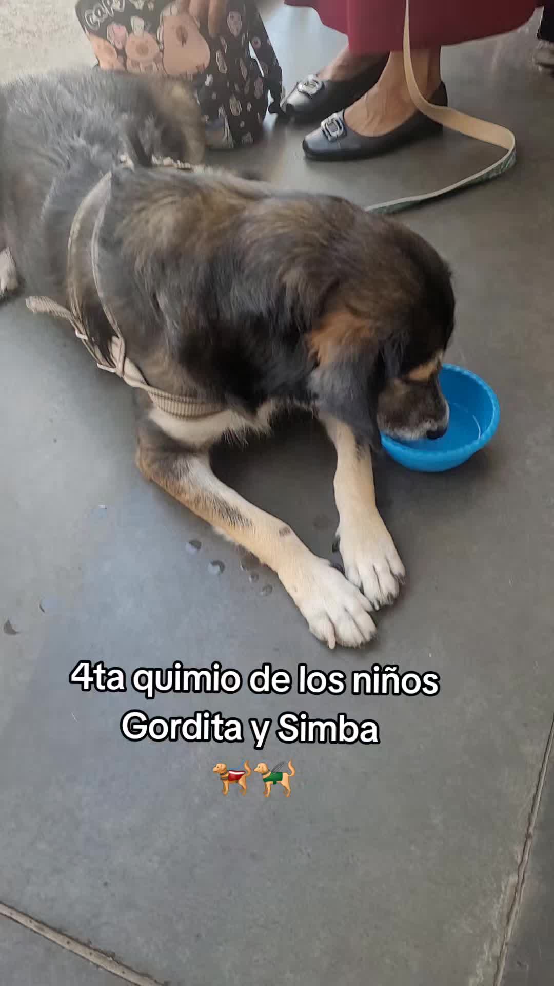 @𝕃𝕚𝕤𝕤 ℝ𝕖yes🇸🇻