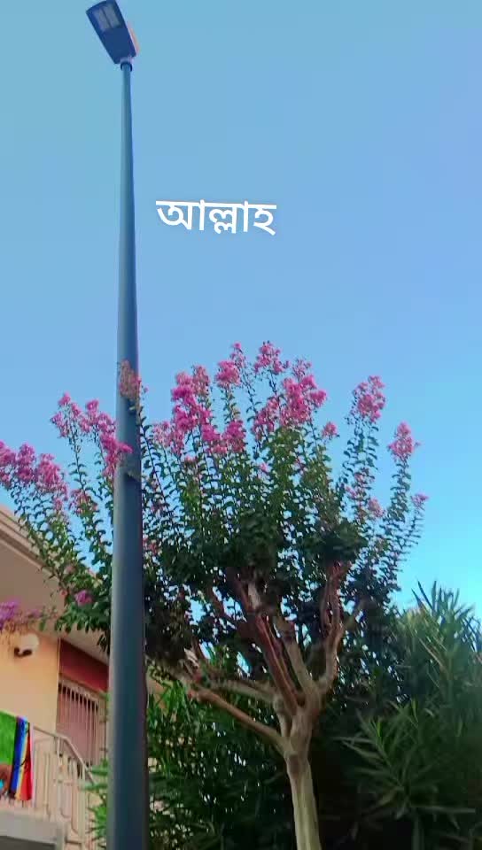 @🌷🦋Mukta 🦋🌺