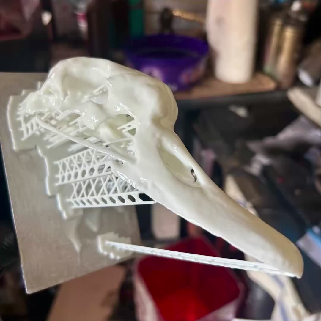 @Misterfeeneyart