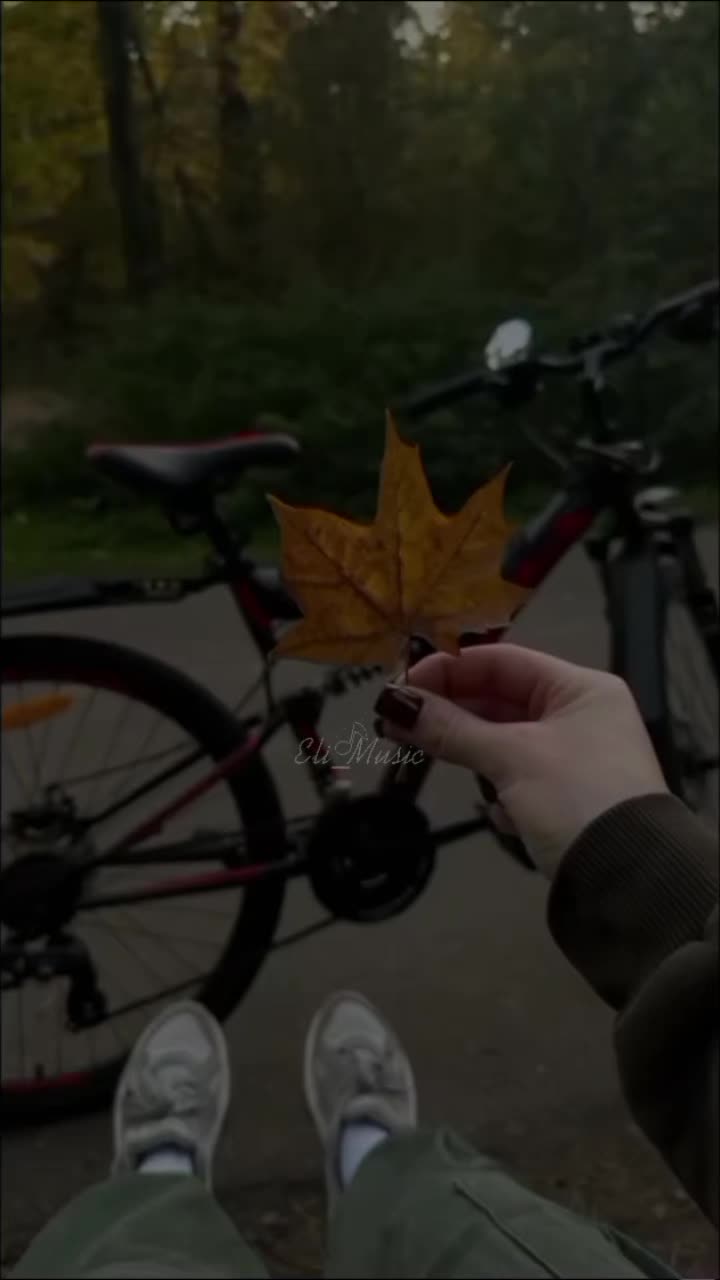 @𝐸𝑙𝑖_𝑀𝑢𝑠𝑖𝑐