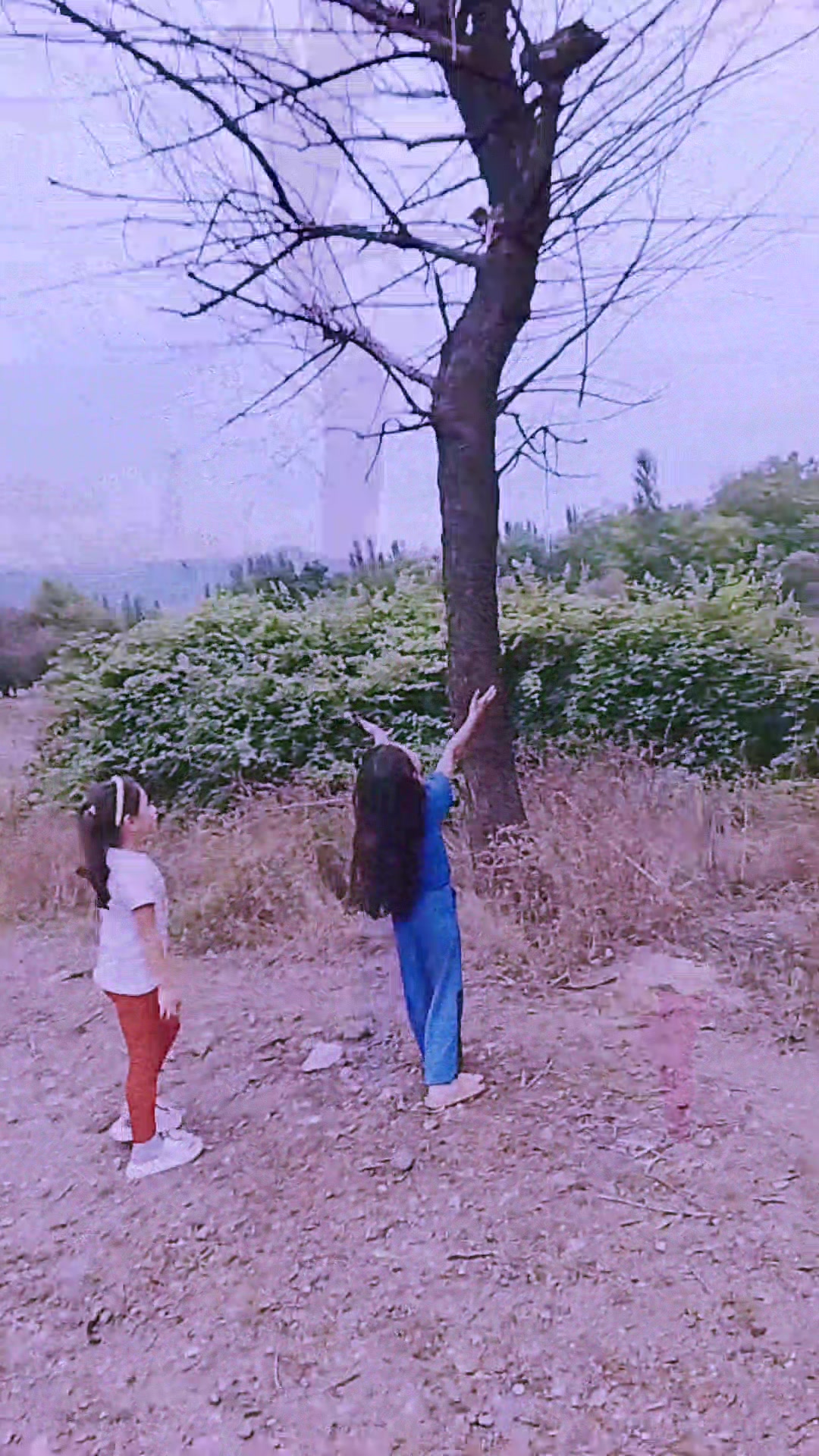 @Melisa_Sadiq