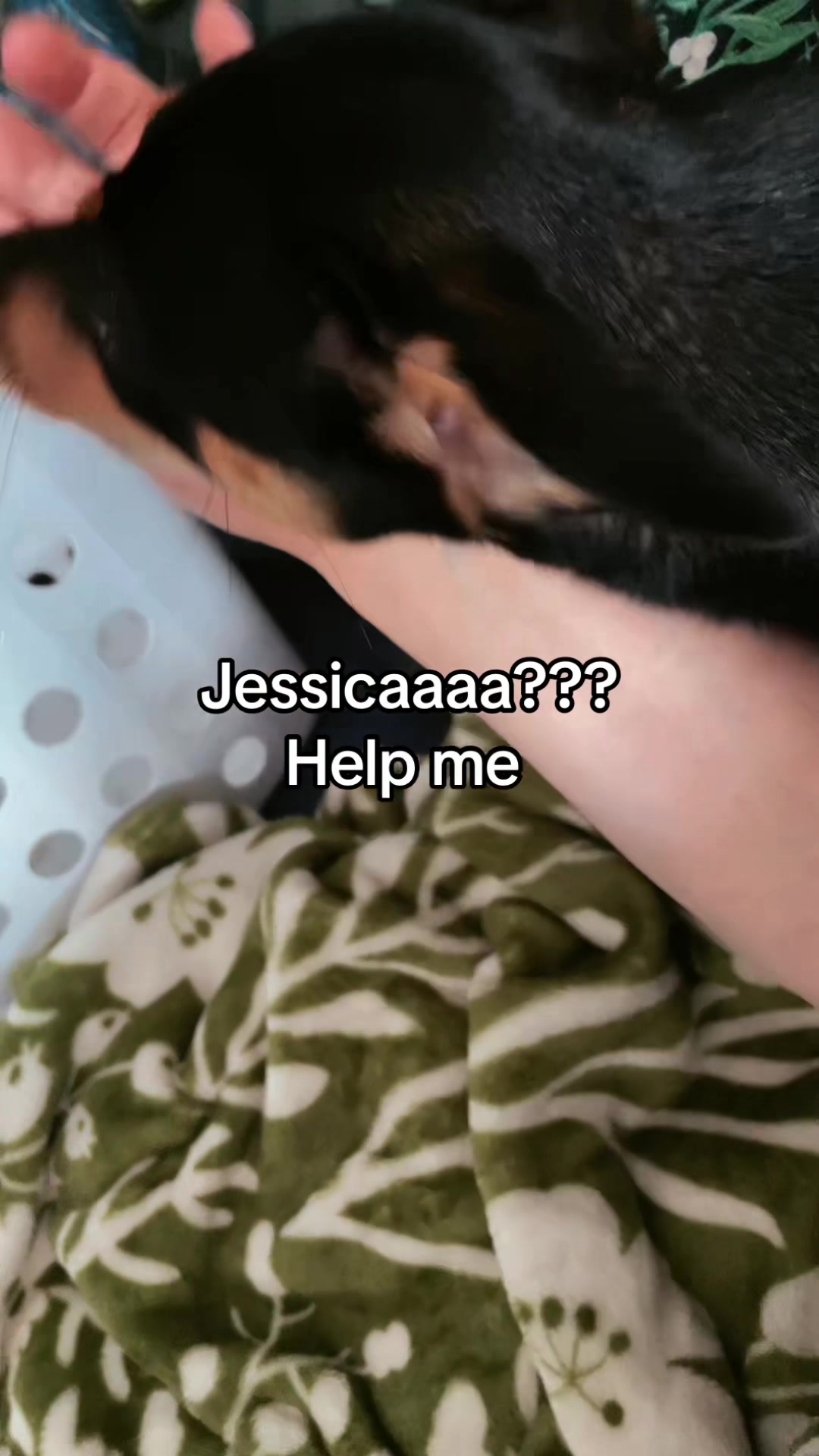 @Chomps