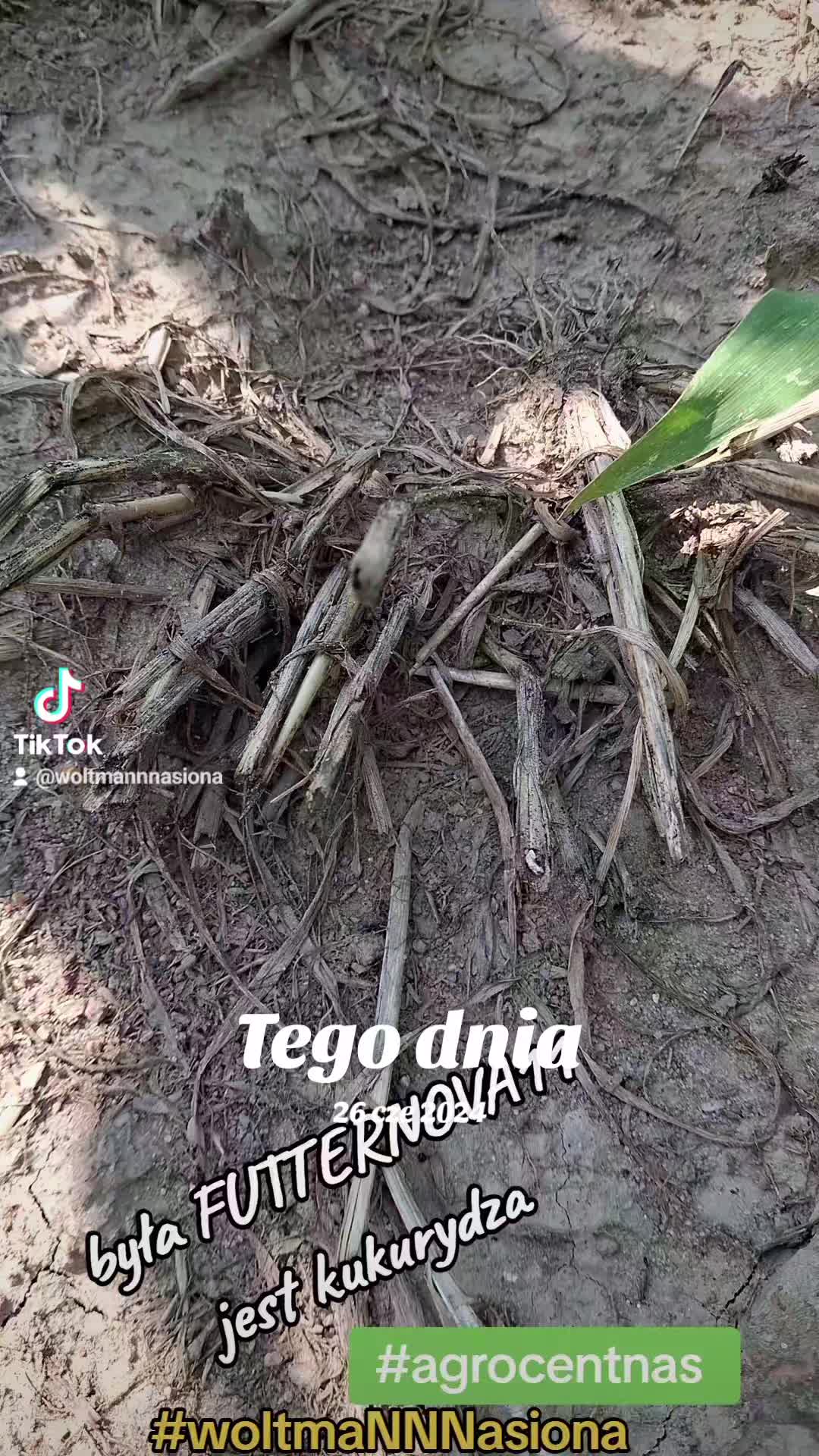 @WOLTMANNNASIONA