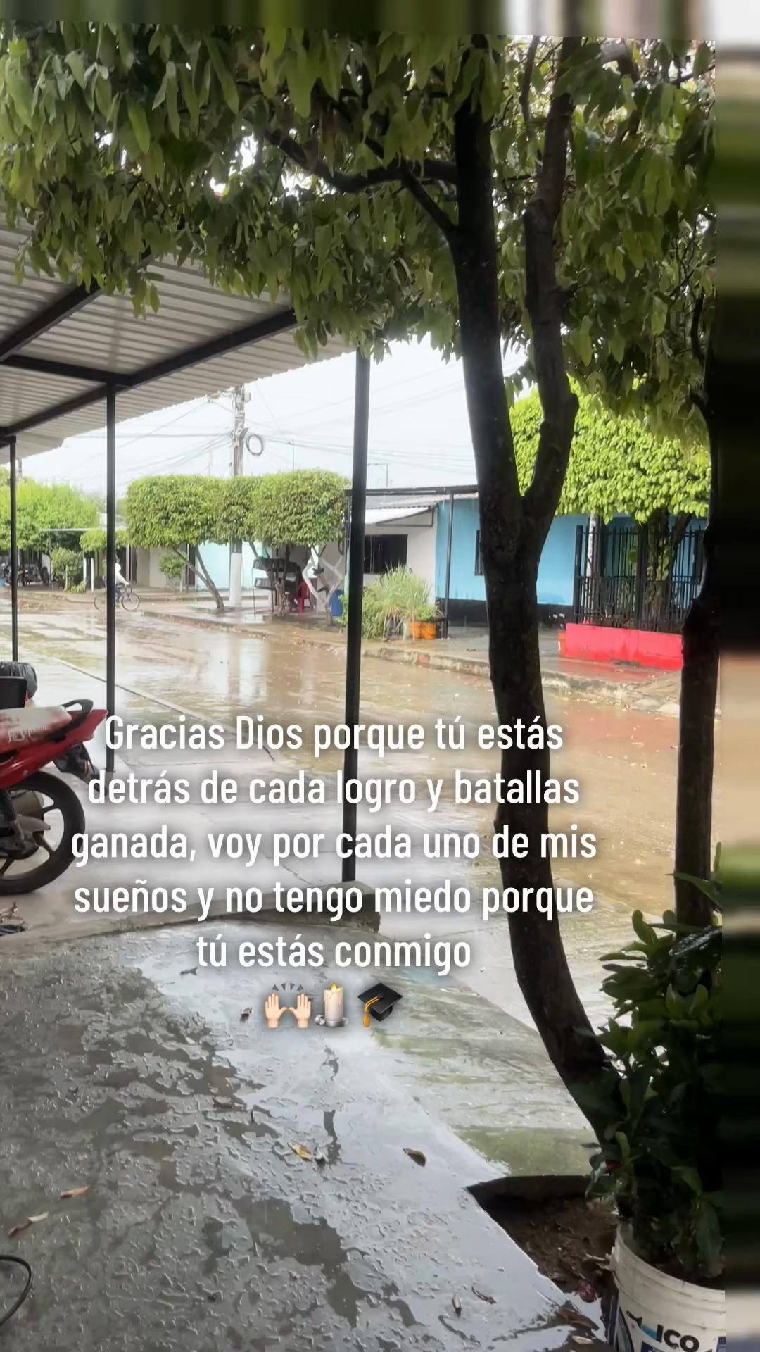 @Gata😻🦋
