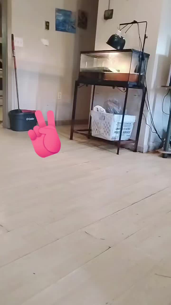 @Jack