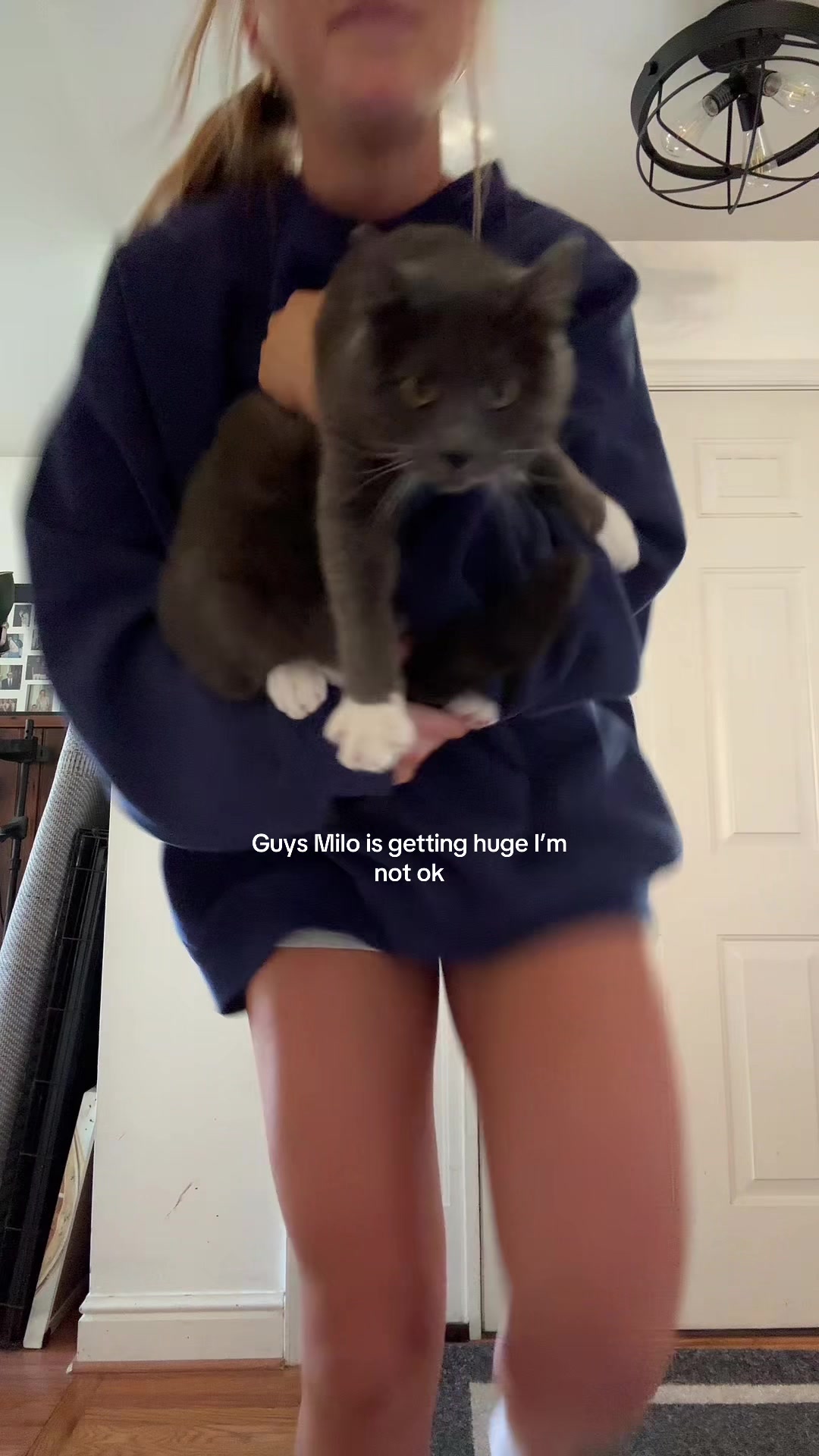 @audrey