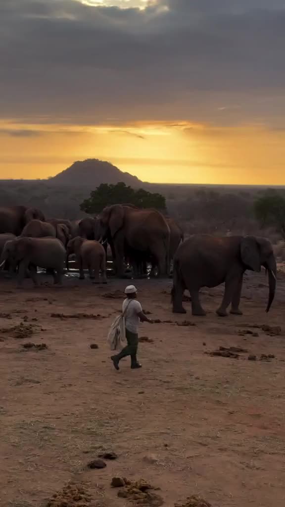 @SheldrickTrust