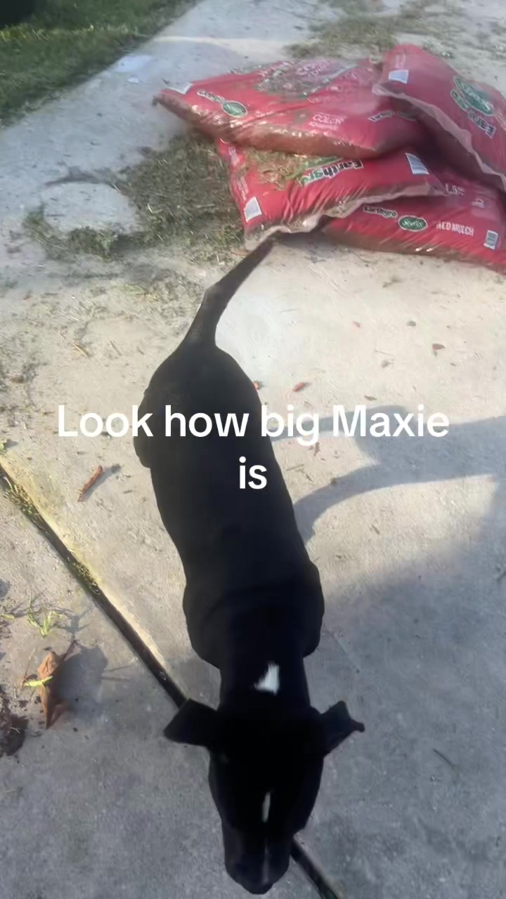 @Xavier Serrano