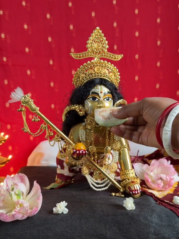 @Sanatan Ravi Shekhar