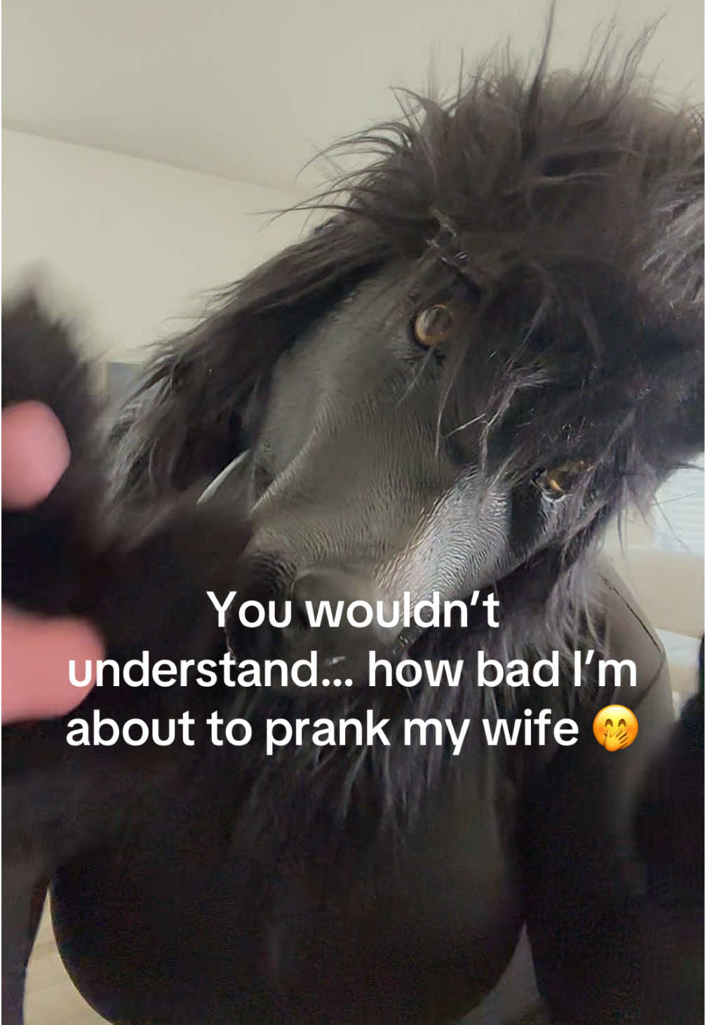 @sheilaamccray