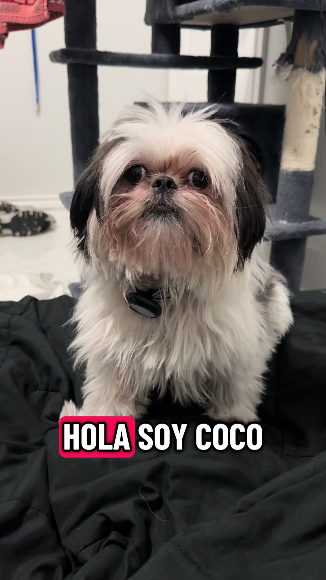 @Coco🥥