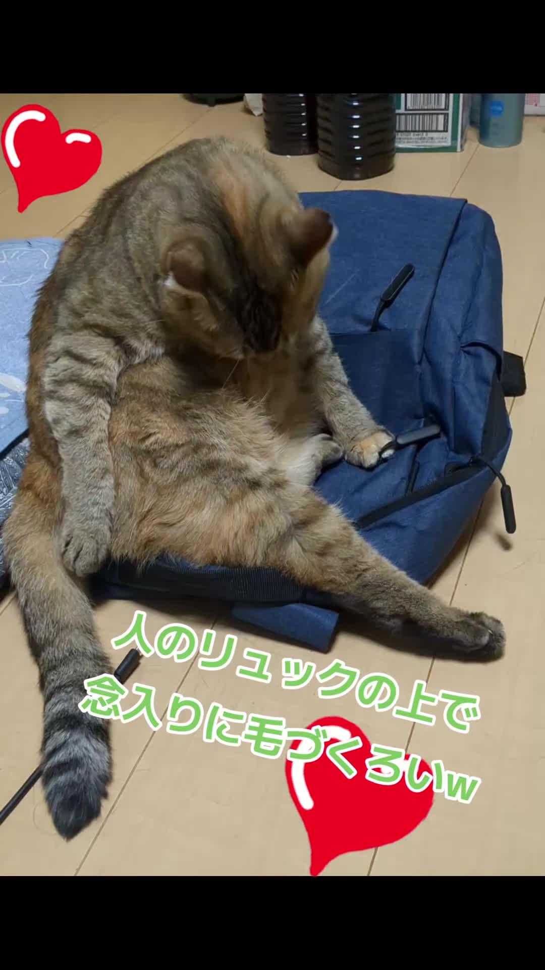 @キュキュ