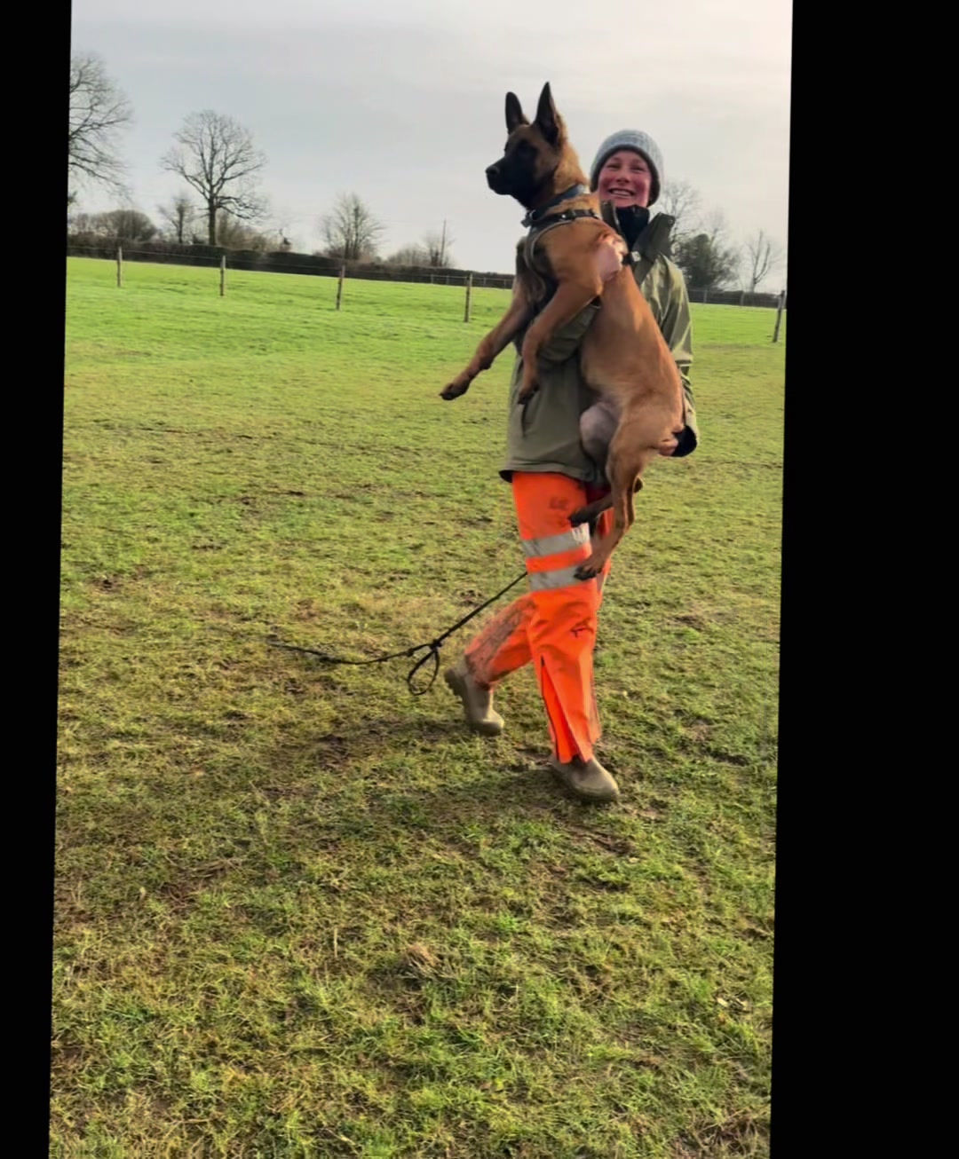 @thedogsportscoach