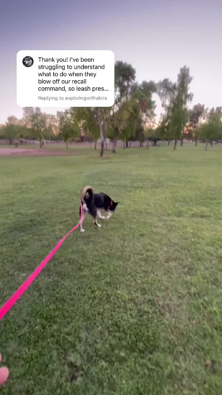 @Marissa | K9 Fitness Coach 🐾