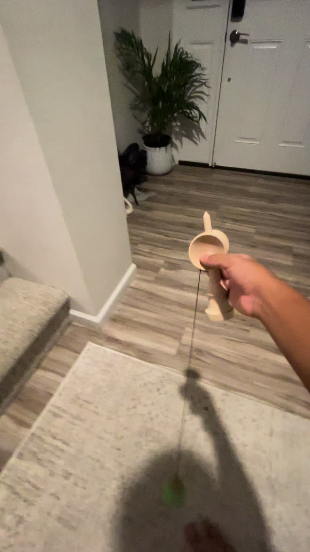 @TrexyYt