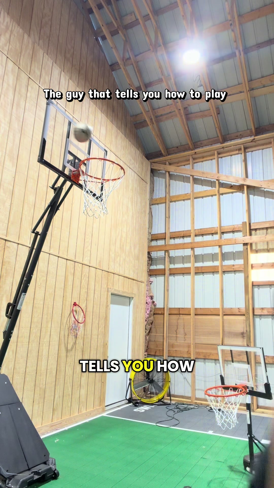 @Mr Bearded Dragon