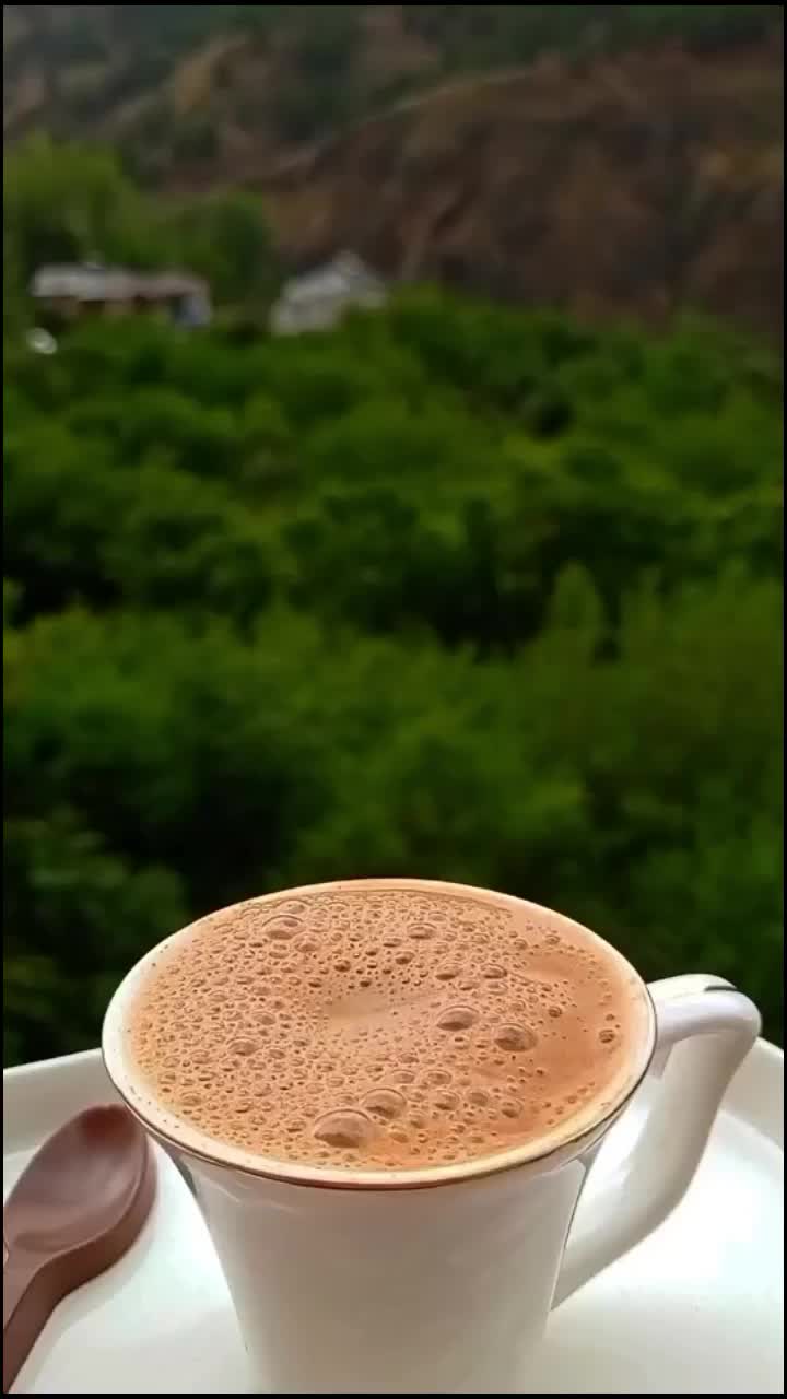@qolbuku