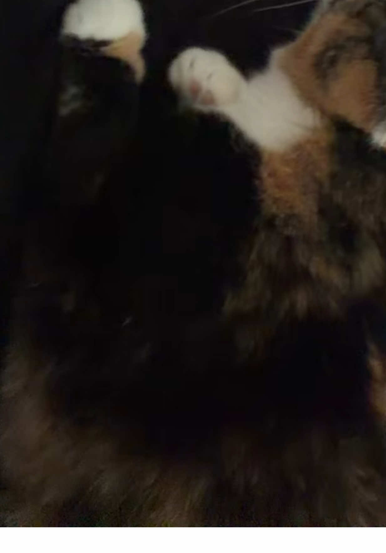 @█████████