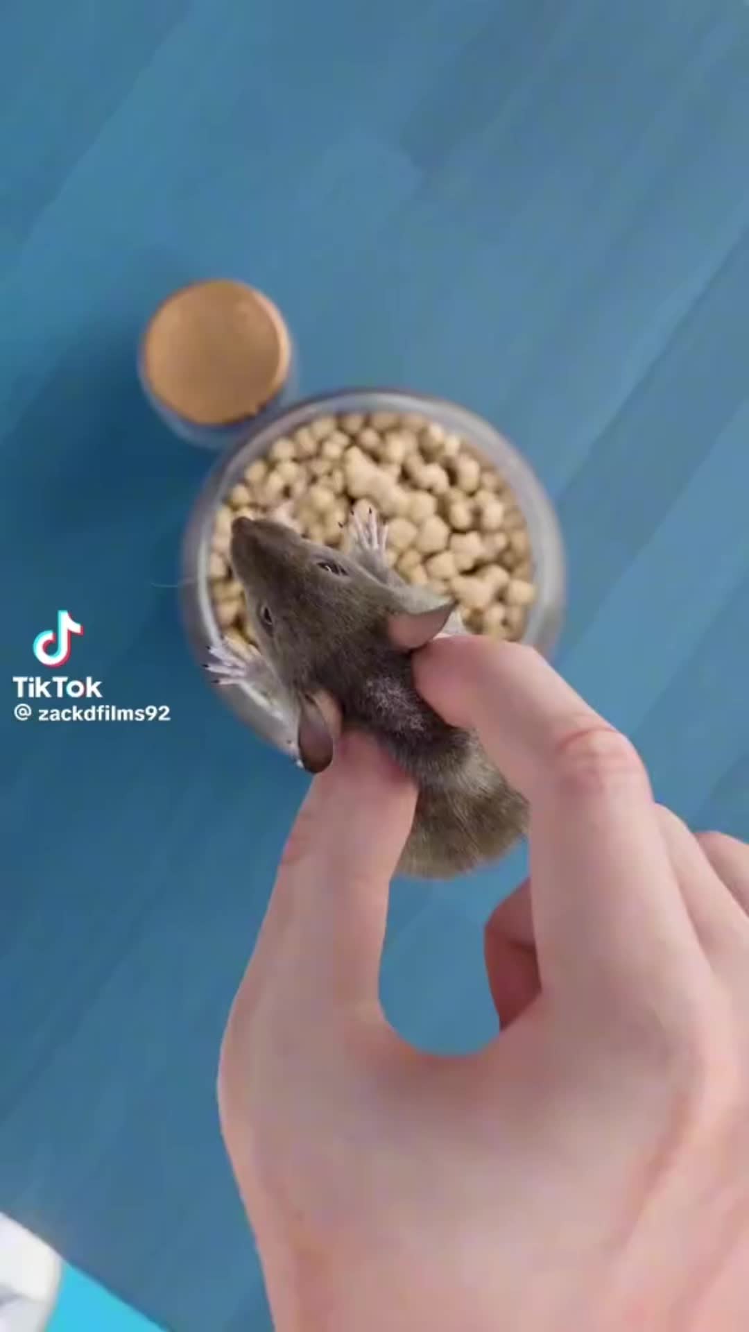 @тєммιє