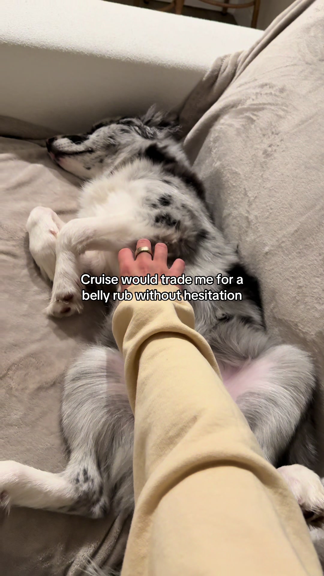 @Cruise 🛳️🩵