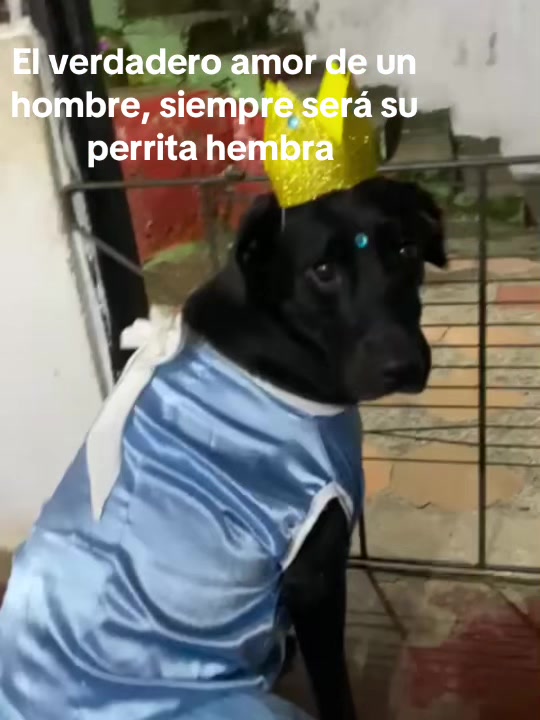 @JHANPIZ