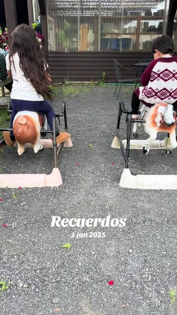 @🐓🐥CATRACHITA 🗝️