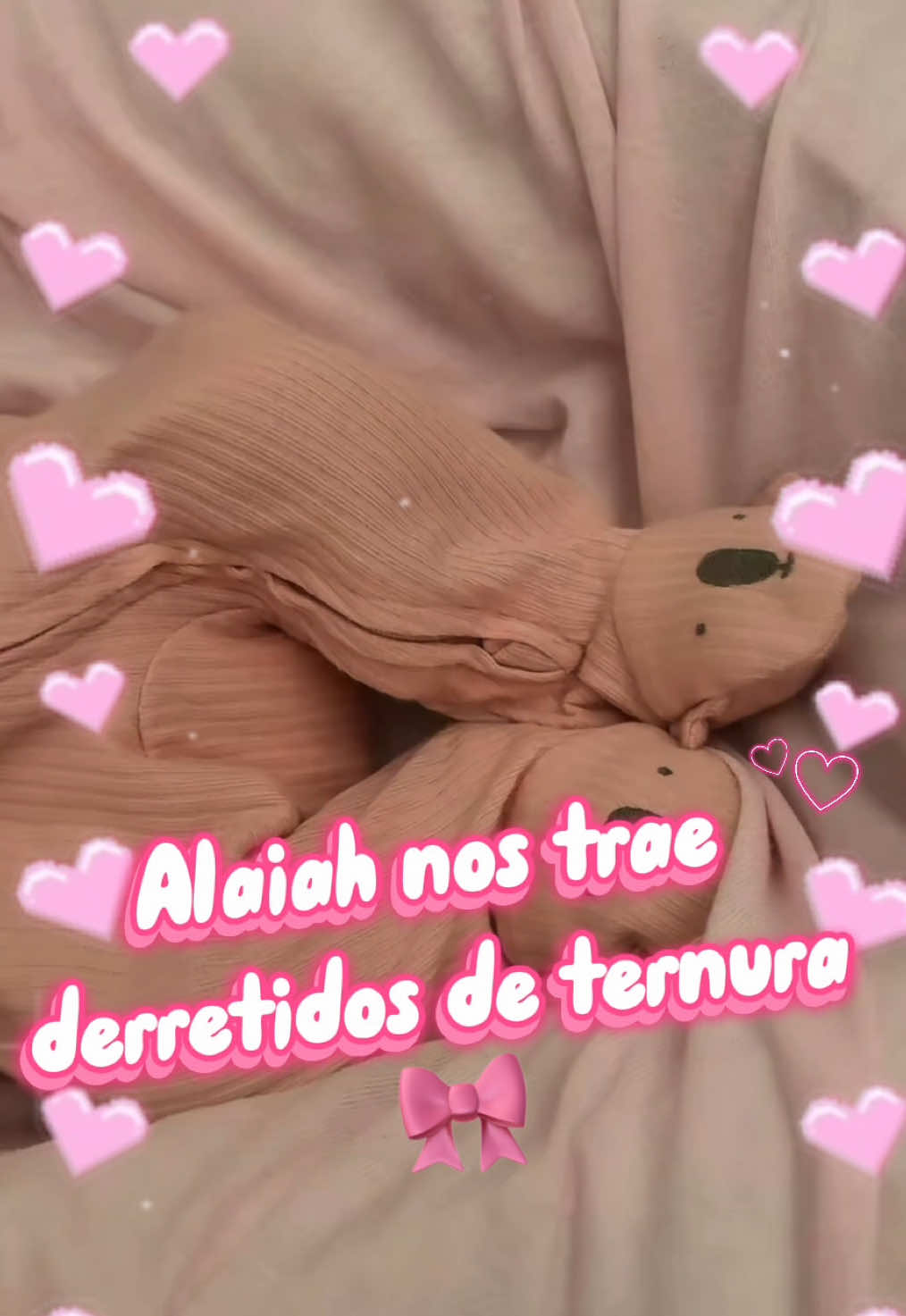 @evaroxusa⚜️🐢