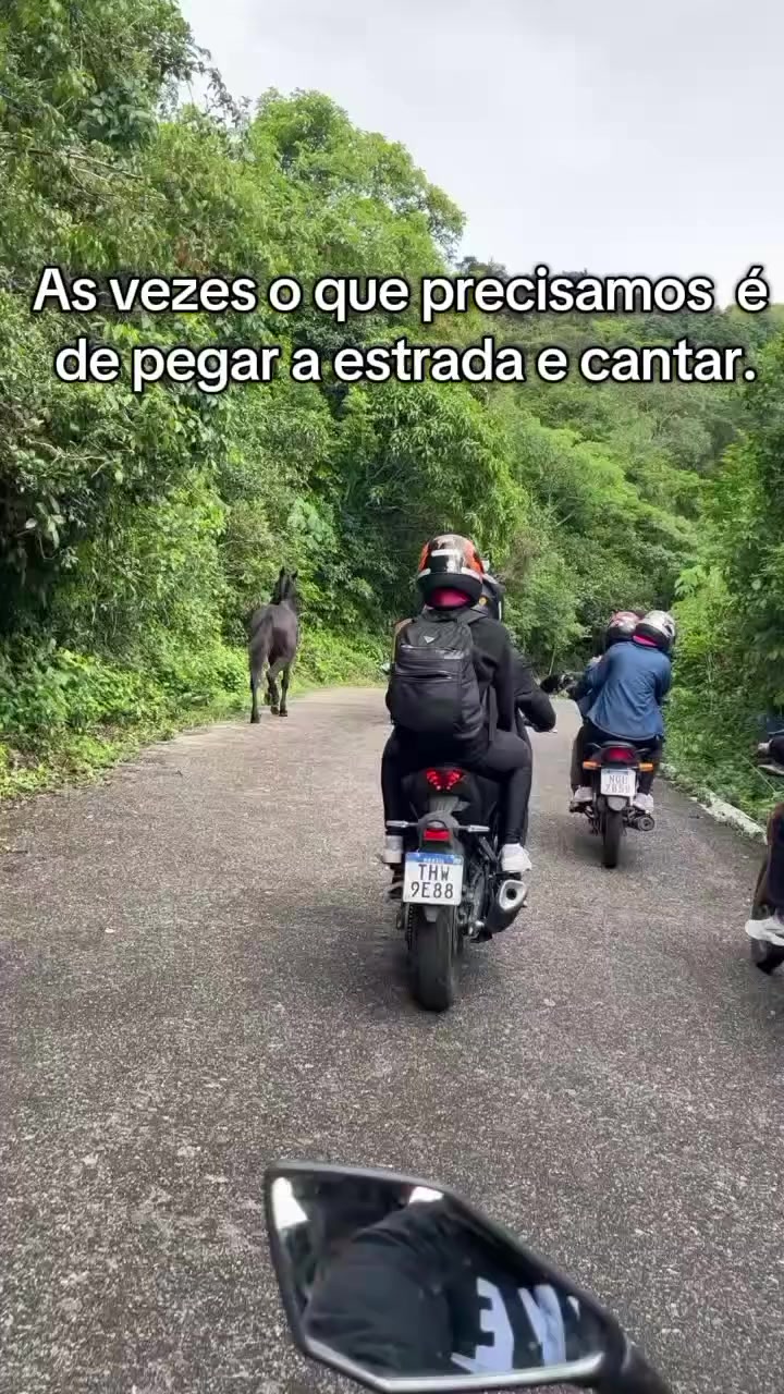 @Elaine Oliveira