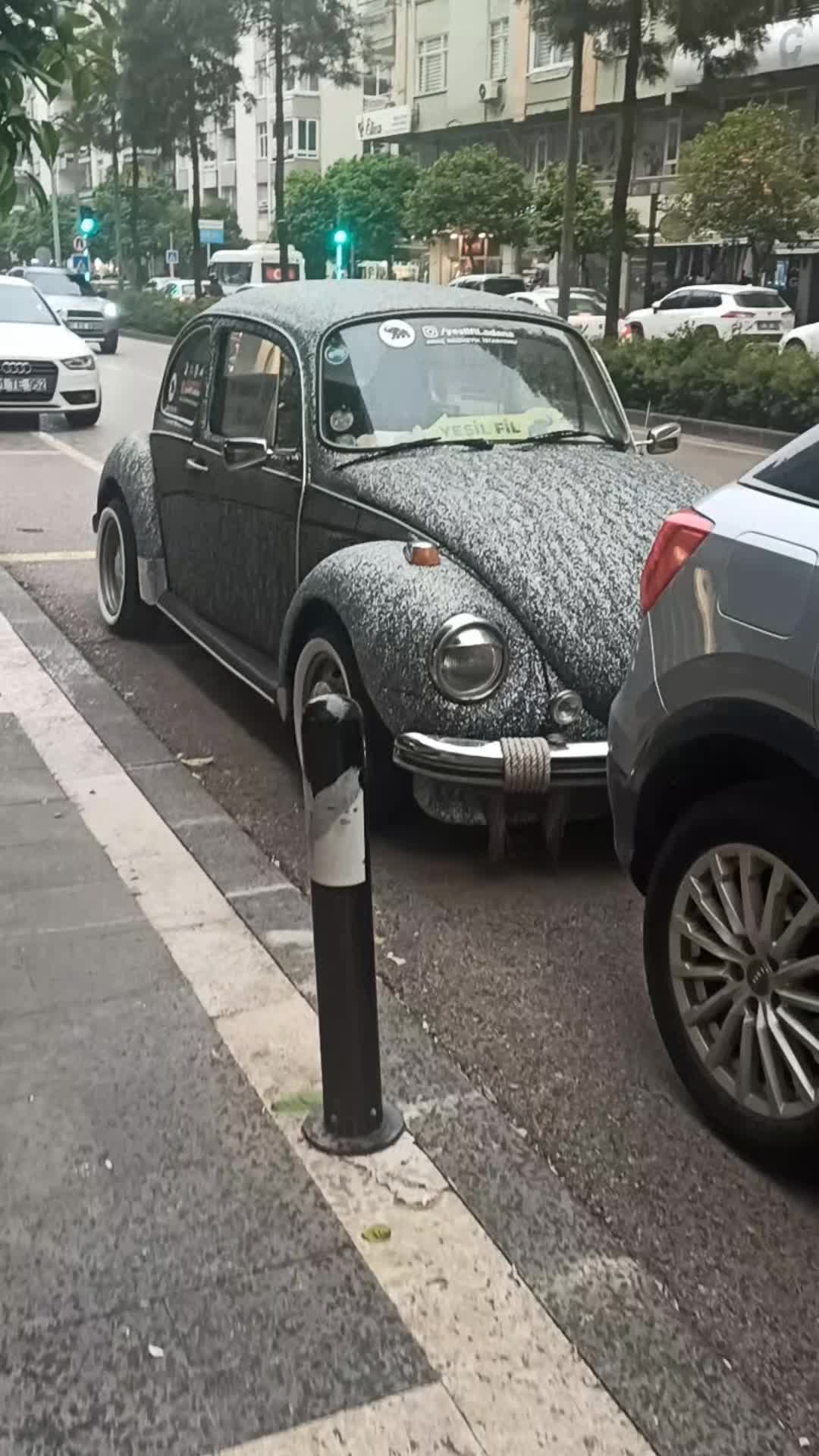 @Classic Car Fan 01