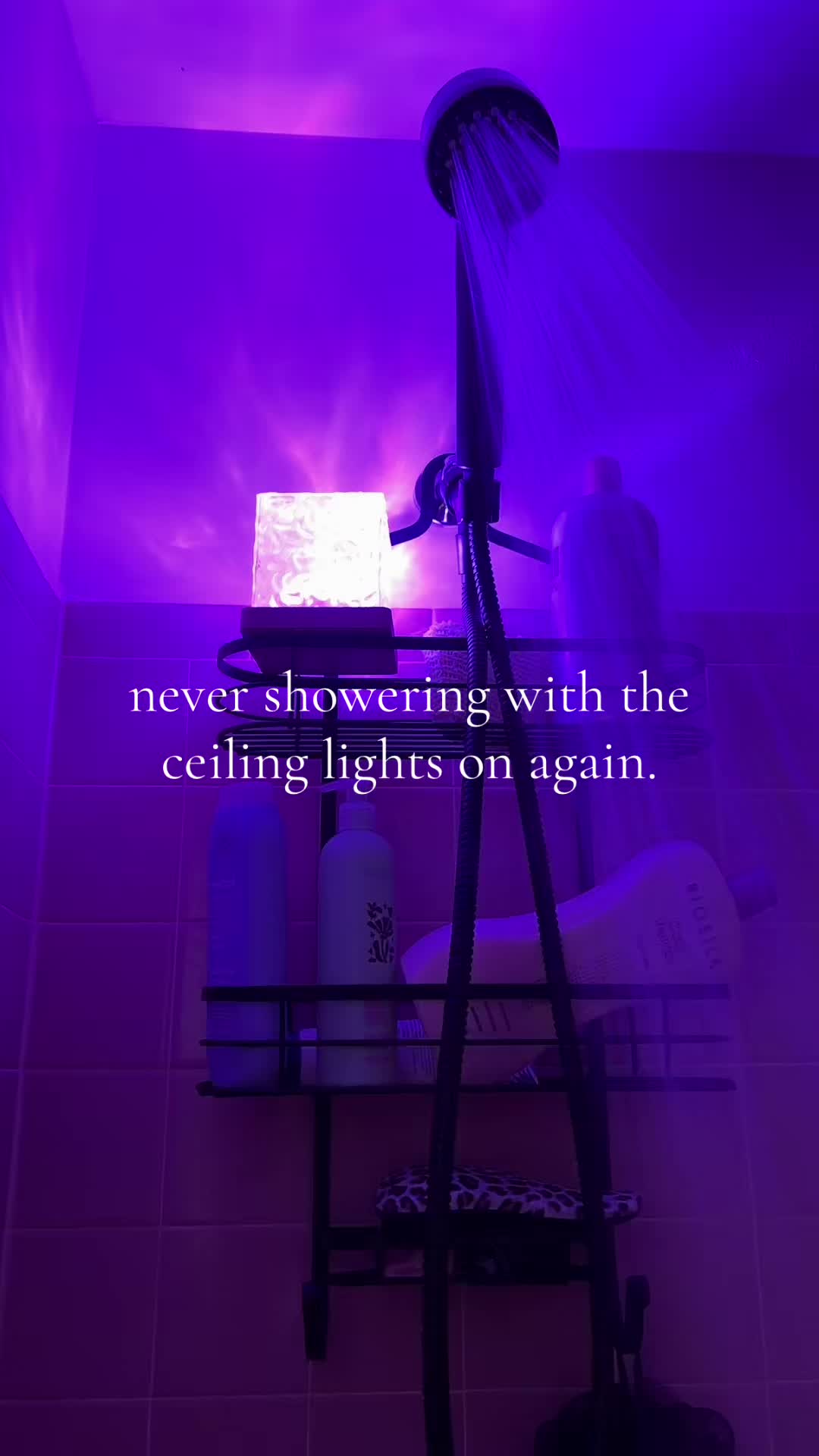 @daphne blue 🌿🌛