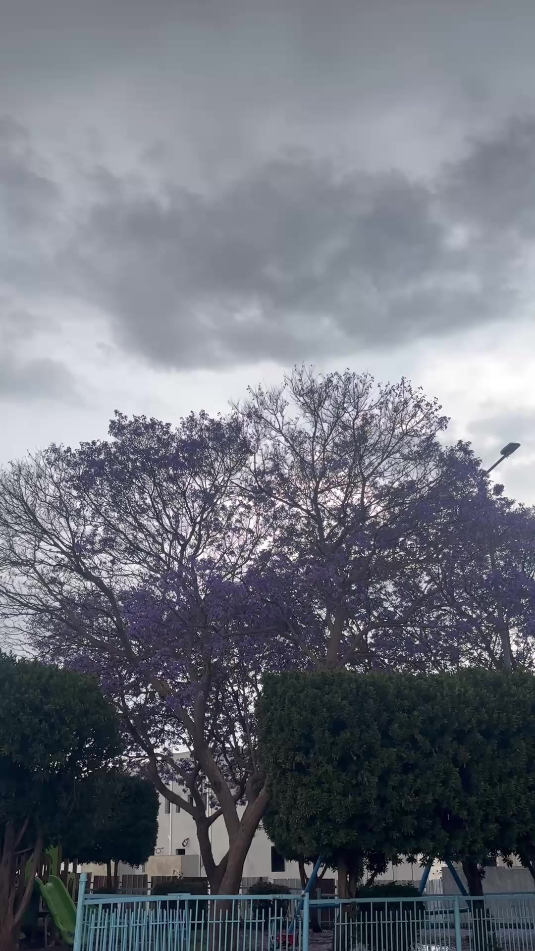 @أم يُسر 🦋