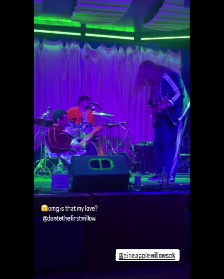 @PineappleWillowsOk