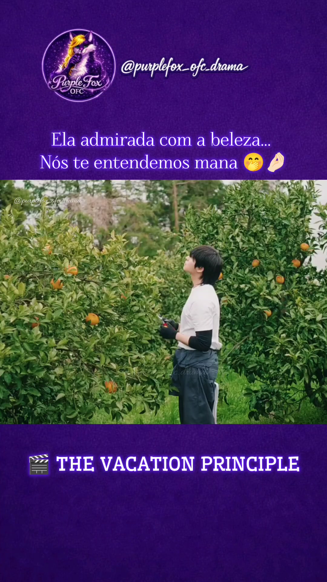 @Purple Fox OFC Drama 💜