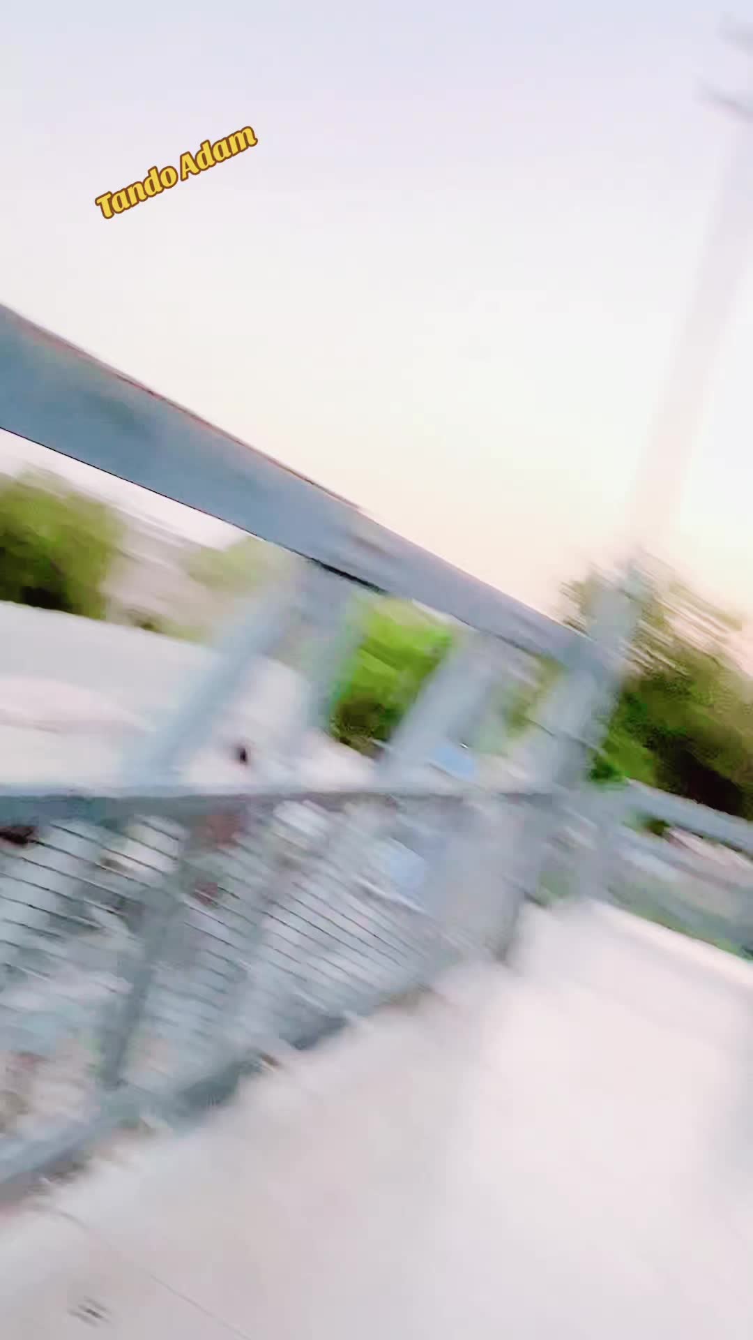 @ɪᴹ᭄Mᴵˢˢ ᶻᴵᴰᴰᴵ✭