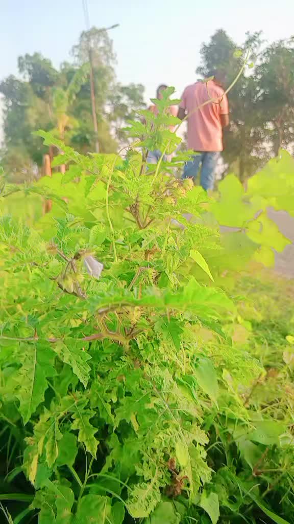 @রংপুরের দুষ্টু ছেলে মুন