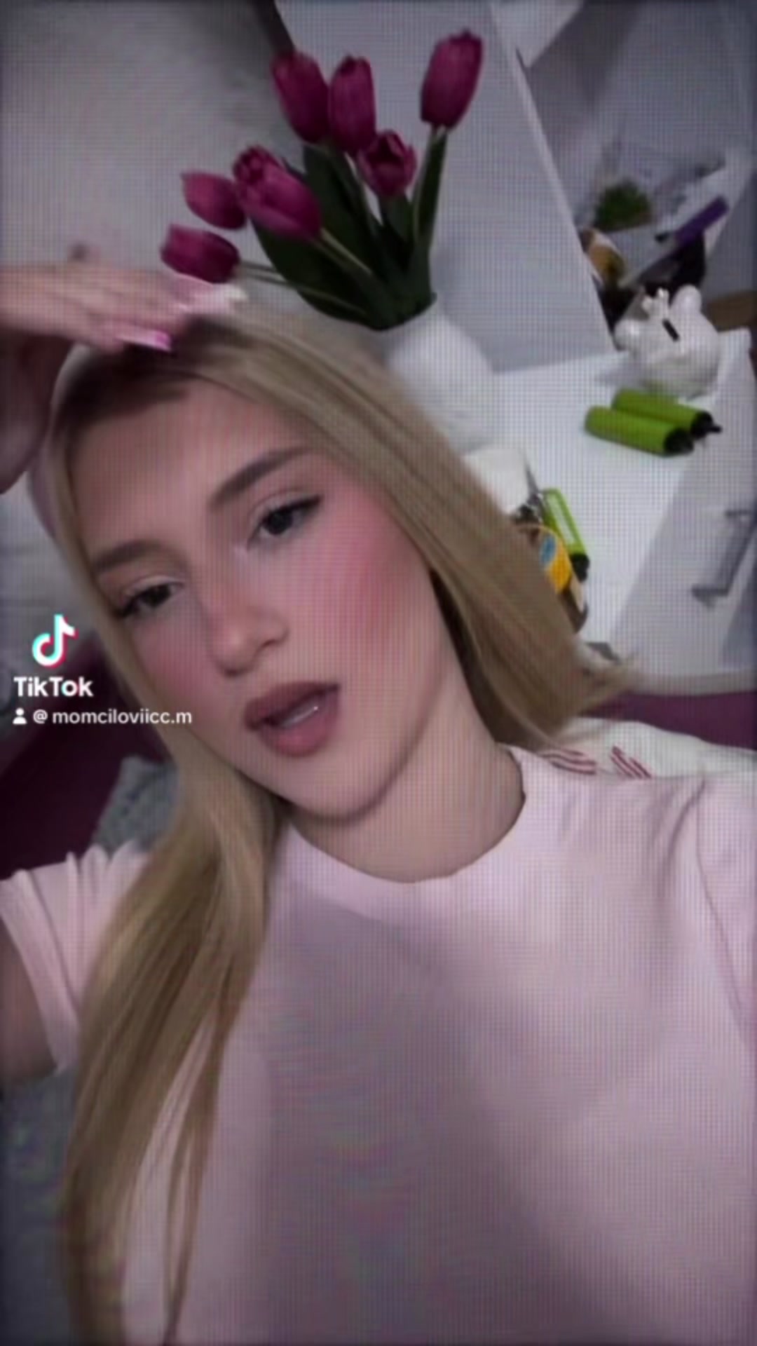 @momciloviicc.m