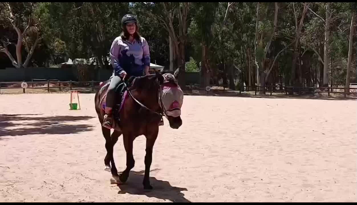 @sian_charlies_horsey_