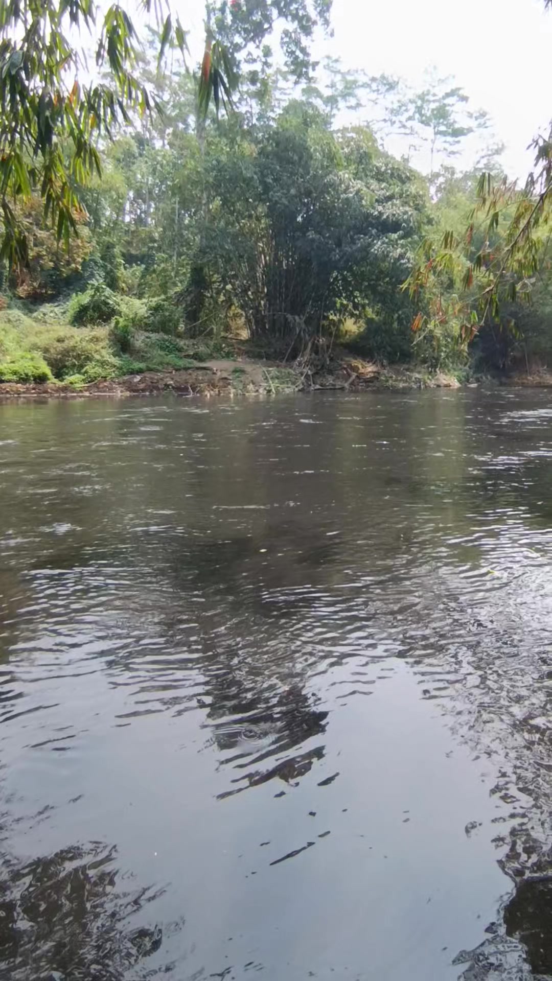 @orupnaselfishing