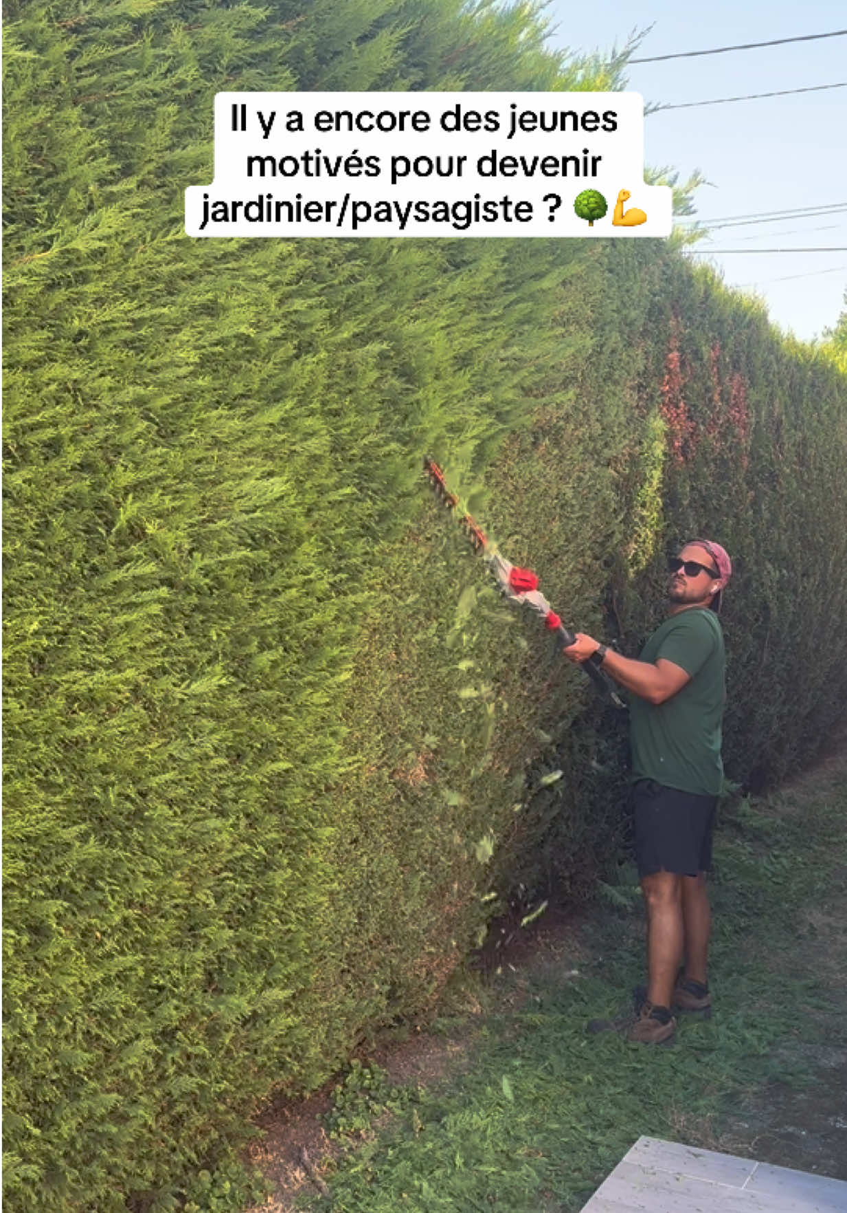 @Steve Le Jardinier